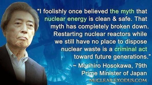 Former Japanese Prime Minister Morihiro Hosokawa has joined his colleague Naoto Kan as an outspoken advocate for a nuclear-free future.